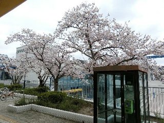 20220403-1.jpg