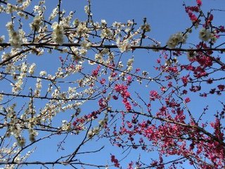 20230313-2.jpg